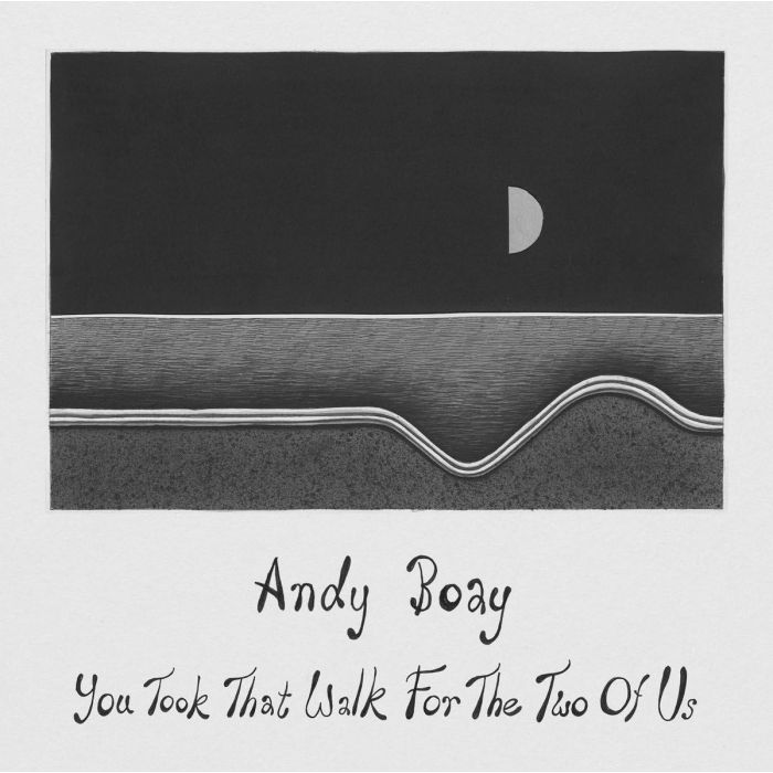 ANDY BOAY - YOU TOOK THAT WALK FOR THE TWO OF US