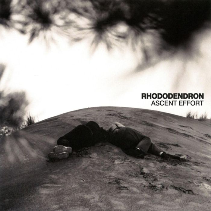 RHODODENDRON - ASCENT EFFORT