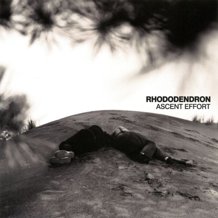RHODODENDRON - ASCENT EFFORT