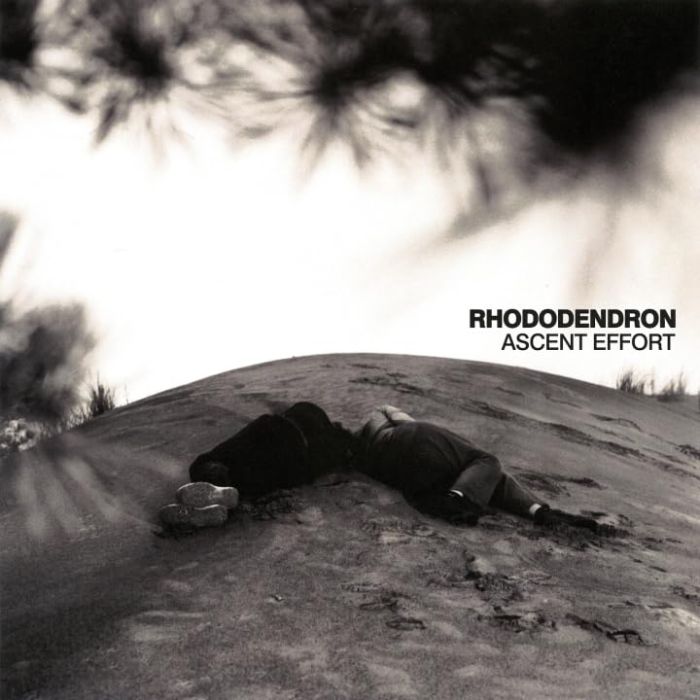 RHODODENDRON - ASCENT EFFORT (COLOR VINYL)