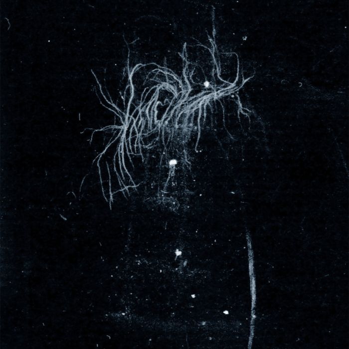 MY HEART, AN INVERTED FLAME - MY DEATH IS MORE BEAUTIFUL THAN YOUR LIFE