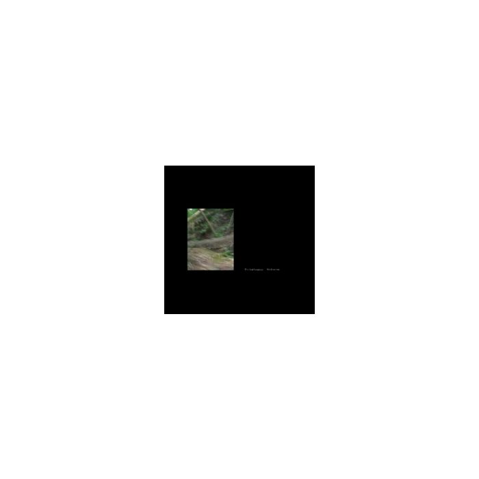 OVAL LANGUAGE - WALDKONZERTE