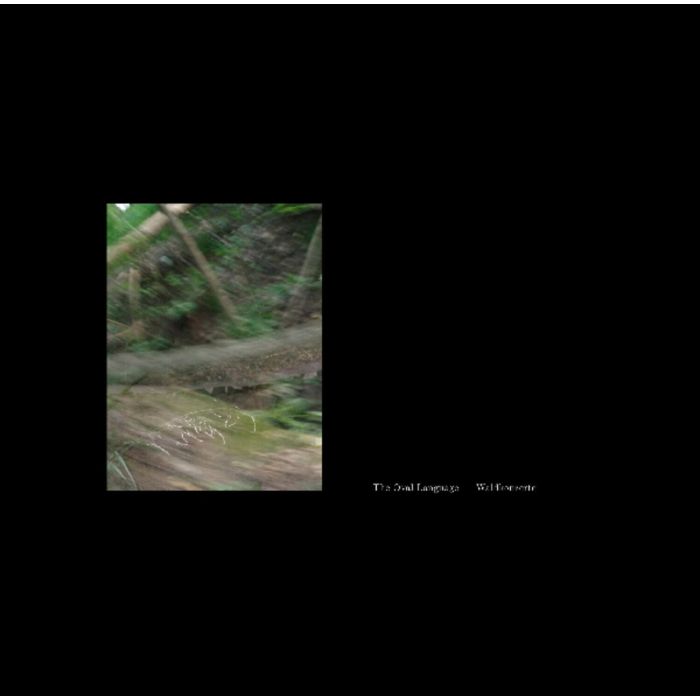 OVAL LANGUAGE - WALDKONZERTE