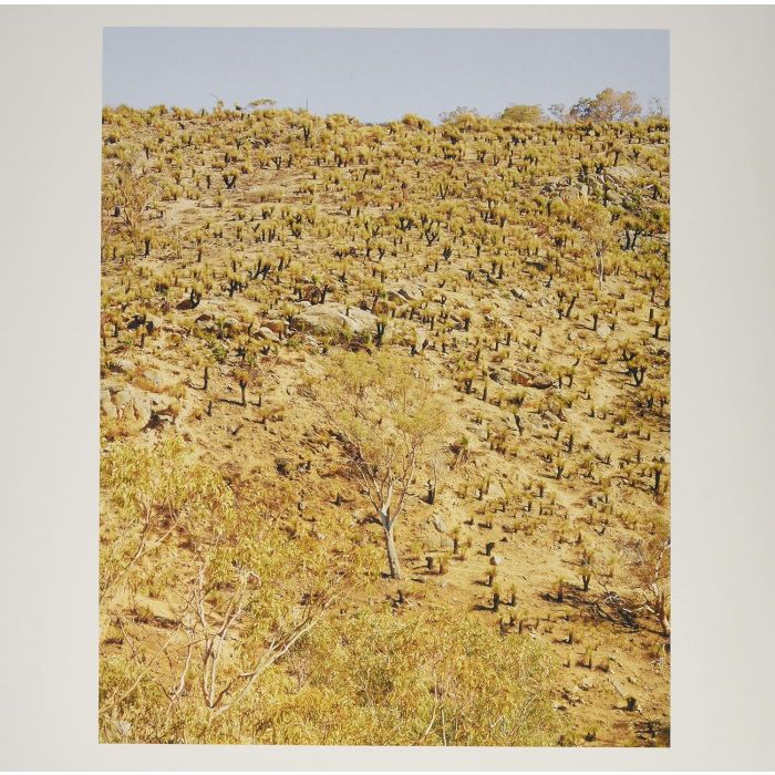 PEKLER,ANDREW & GIUSEPPE IELASI - PALIMPSESTS
