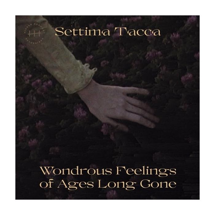 SETTIMA TACCA - WONDROUS FEELINGS OF AGES LONG GONE