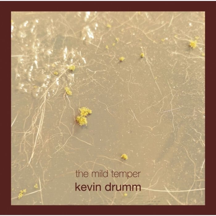 KEVIN DRUMM - MILD TEMPER