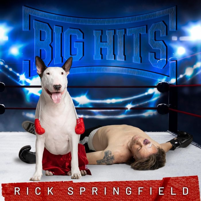 RICK SPRINGFIELD - BIG HITS: RICK SPRINGFIELD'S GREATEST HITS VOL. 2