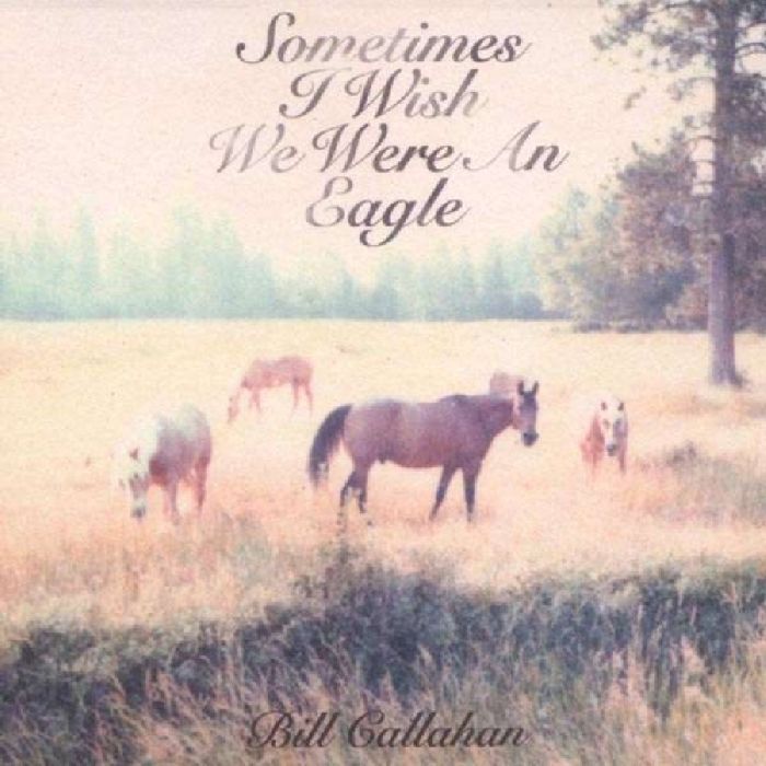 BILL CALLAHAN - SOMETIMES I WISH WE WERE AN EAGLE