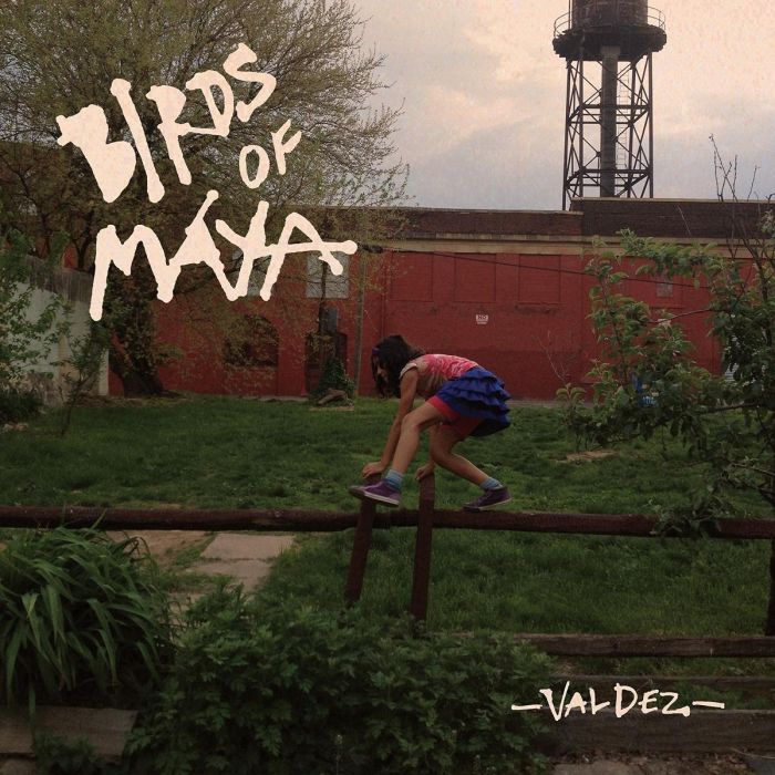 BIRDS OF MAYA - VALDEZ