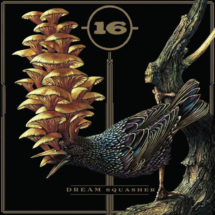 16 - DREAM SQUASHER