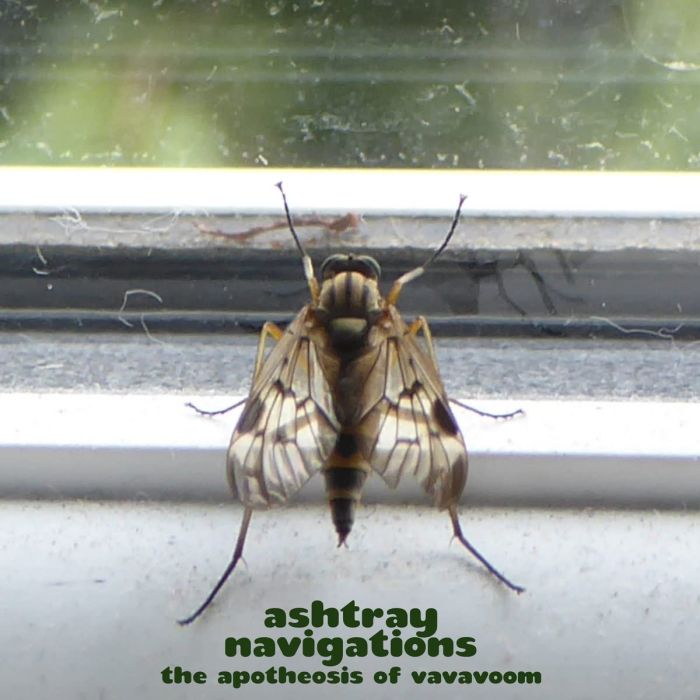 ASHTRAY NAVIGATIONS - APOTHEOSIS OF VAVAVOOM