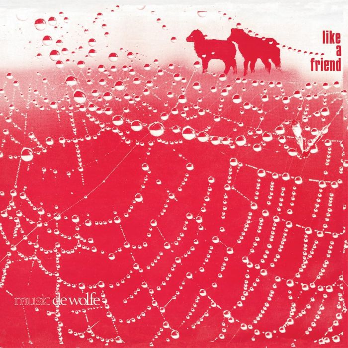 ROGER WEBB - LIKE A FRIEND