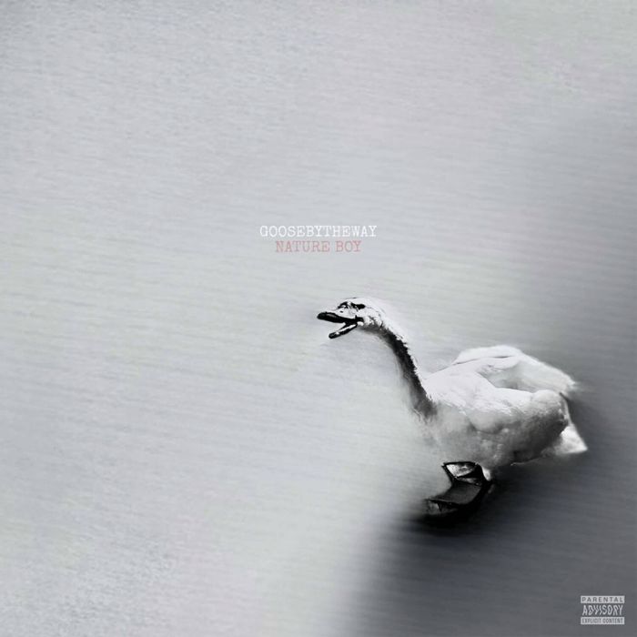 GOOSEBYTHEWAY - NATURE BOY (WHITE VINYL)