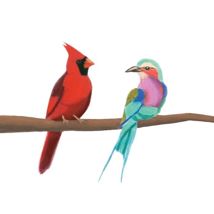 MISSOURI STATE UNIVERSITY CHORALE - CARDINAL & THE ROLLER