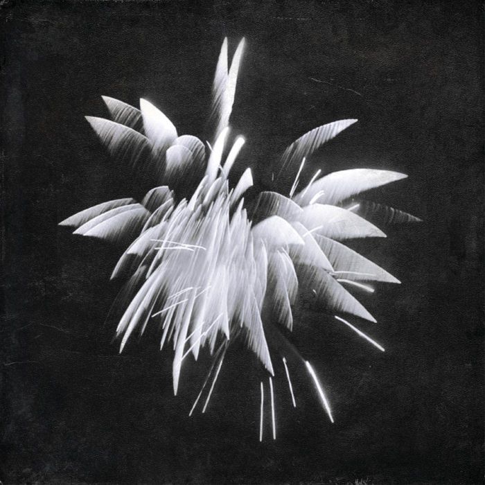 BRENT WINDLER - NEW MORNING