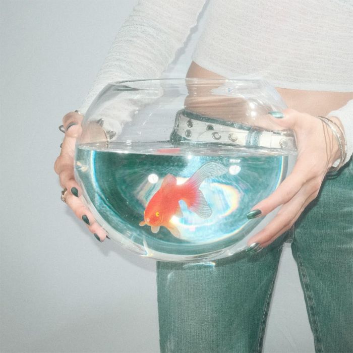 FISH NARC - FROG SONG