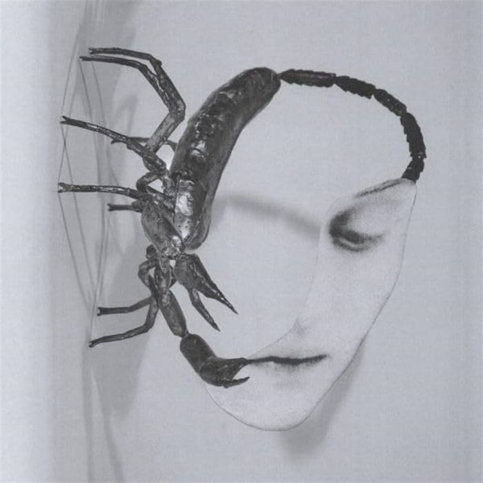 TORTOISE - TOUCH