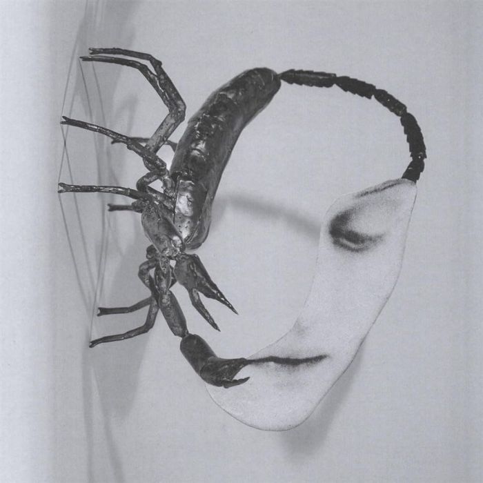 TORTOISE - TOUCH