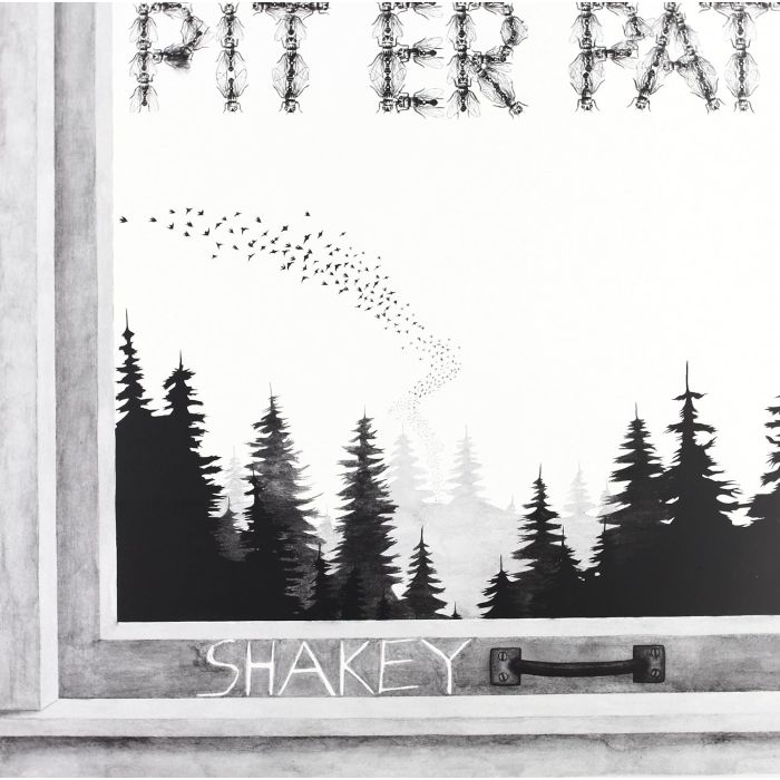PIT ER PAT - SHAKEY