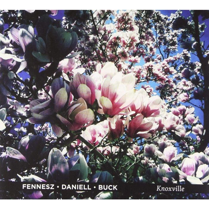 FENNESZ / DANIELL / BUCK - KNOXVILLE