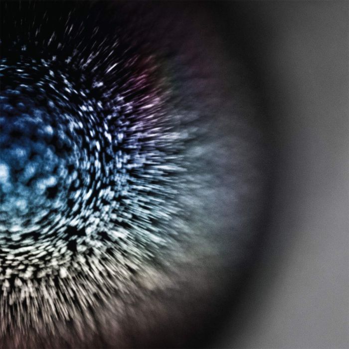 EMPTYSET - BLOSSOMS (VIRGIN VINYL/DL CARD)