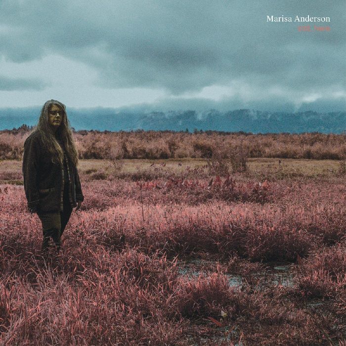 MARISA ANDERSON - STILL, HERE