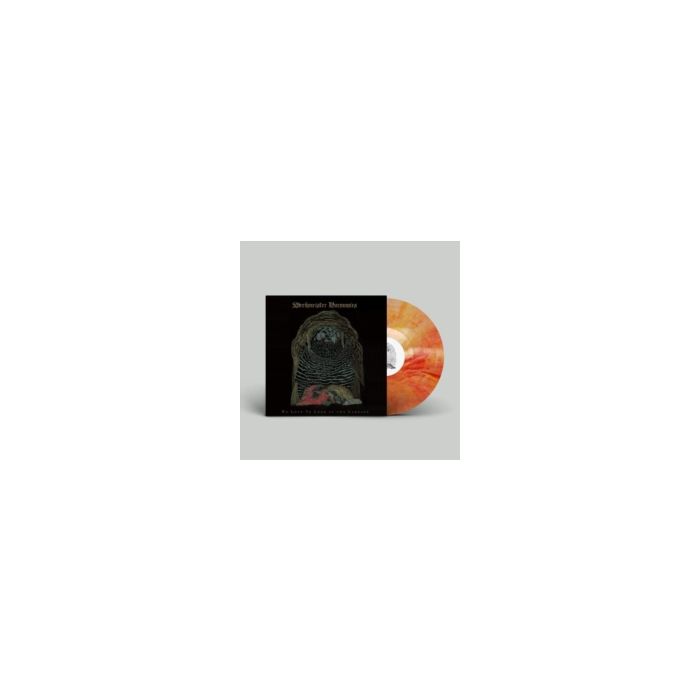 WREKMEISTER HARMONIES - WE LOVE TO LOOK AT THE CARNAGE (COLOR VINYL)