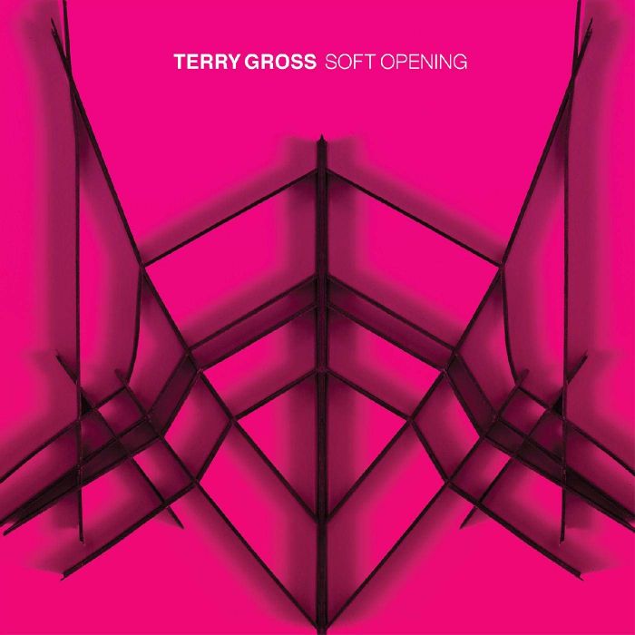 TERRY GROSS - SOFT OPENING (TRANSLUCENT BLUE VINYL/DL CARD)