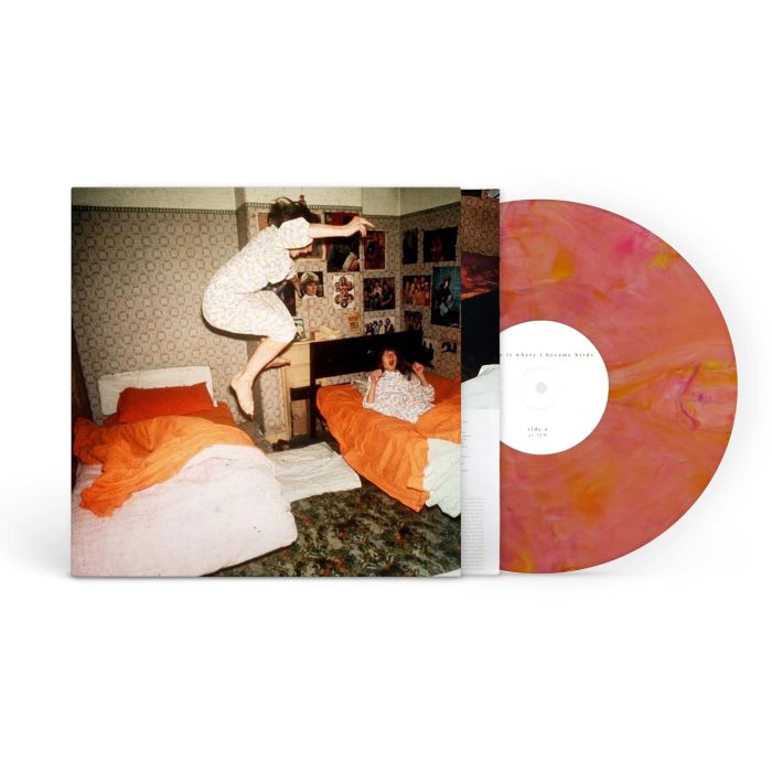 HOME IS WHERE - I BECAME BIRDS (GUAVA BLEND VINYL)