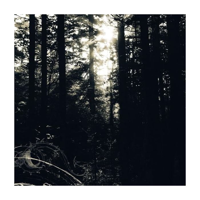 ALLISON GRAVES - I STILL LOOK FOR THE MOUNTAINS