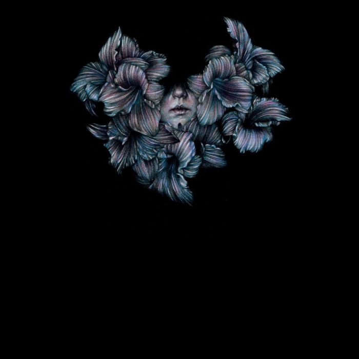 LOT LIKE BIRDS - DIVISI