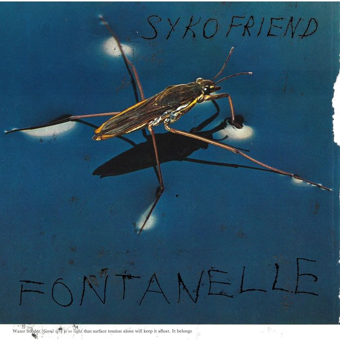 SYKO FRIEND - FONTANELLE