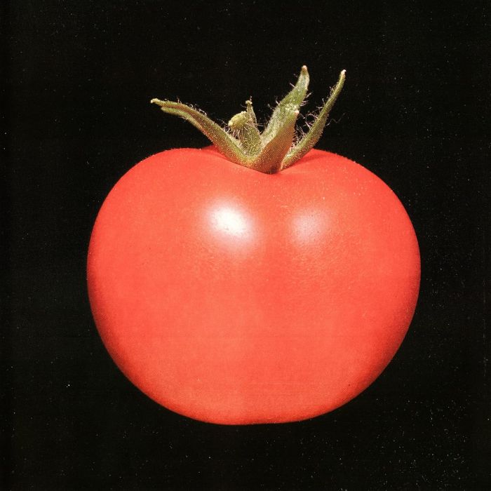 CHRONOPHAGE - CHRONOPHAGE