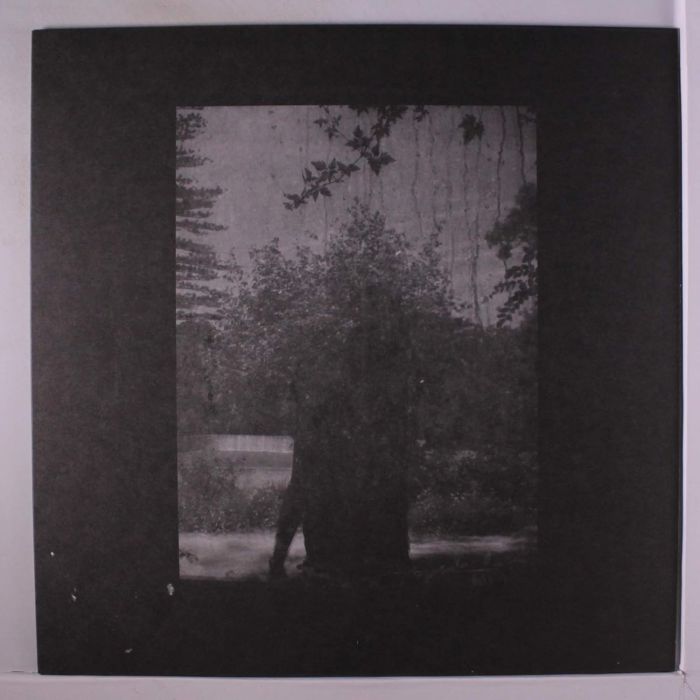 GROUPER - RUINS