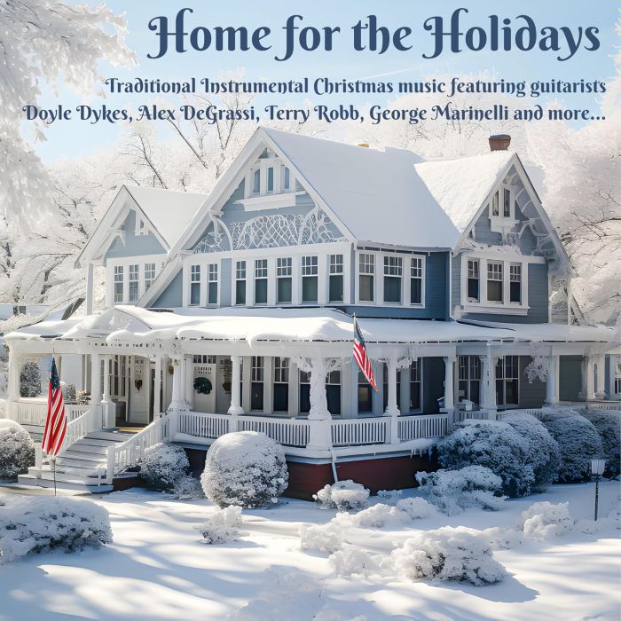 VARIOUS ARTISTS - HOME FOR THE HOLIDAYS