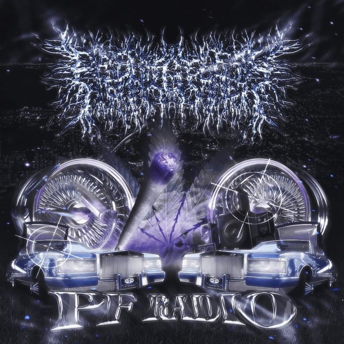 PEELINGFLESH - PF RADIO