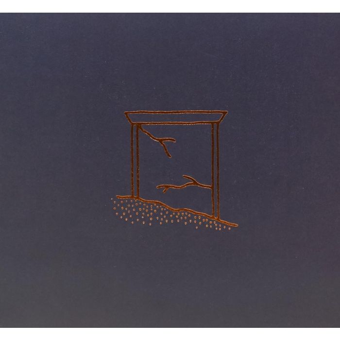 THIS WILL DESTROY YOU - ANOTHER LANGUAGE