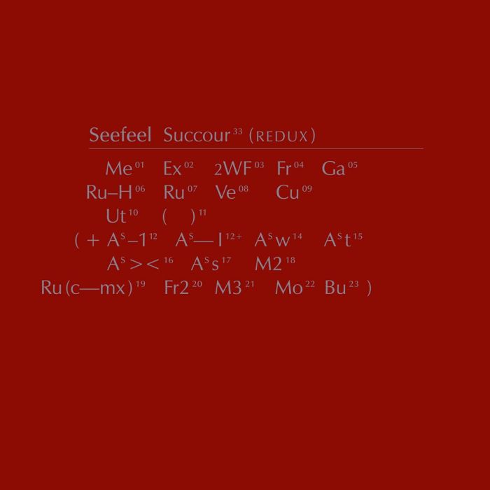 SEEFEEL - SUCCOUR (REDUX) (DL CARD)