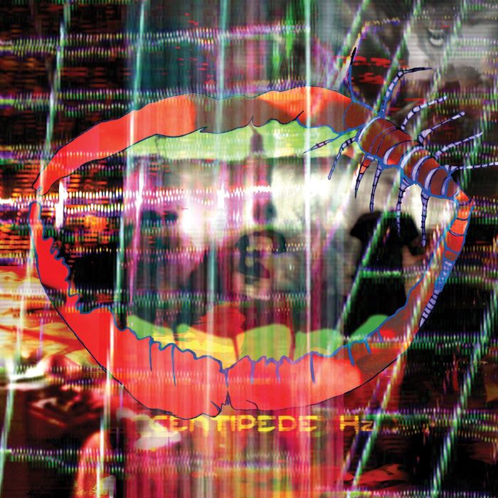 ANIMAL COLLECTIVE - CENTIPEDE HZ (DL CARD)