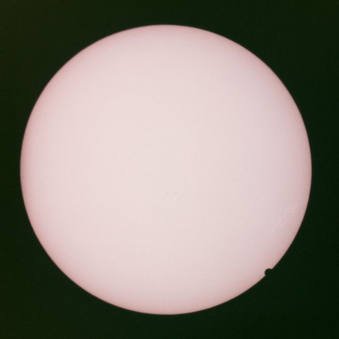 JOHN MAUS - COLLECTION OF RARITIES & PREVIOUSLY UNRELEASED MATERIAL