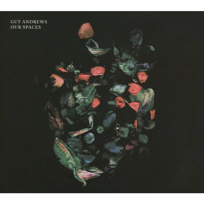 GUY ANDREWS - OUR SPACES