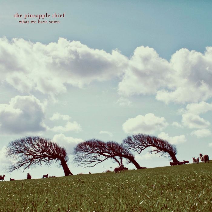 PINEAPPLE THIEF - WHAT WE HAVE SOWN