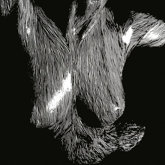 OCEANSIZE - SELF PRESERVED WHILE THE BODIES FLOAT UP