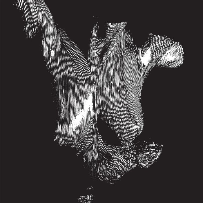 OCEANSIZE - SELF PRESERVED WHILE THE BODIES FLOAT UP