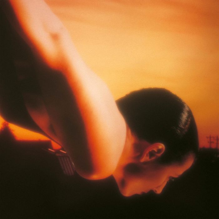 PORCUPINE TREE - ON THE SUNDAY OF LIFE