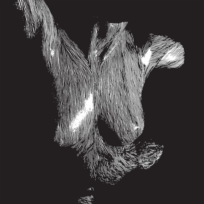 OCEANSIZE - SELF PRESERVED WHILE THE BODIES FLOAT UP (3LP/15TH ANNIVERSARY ED