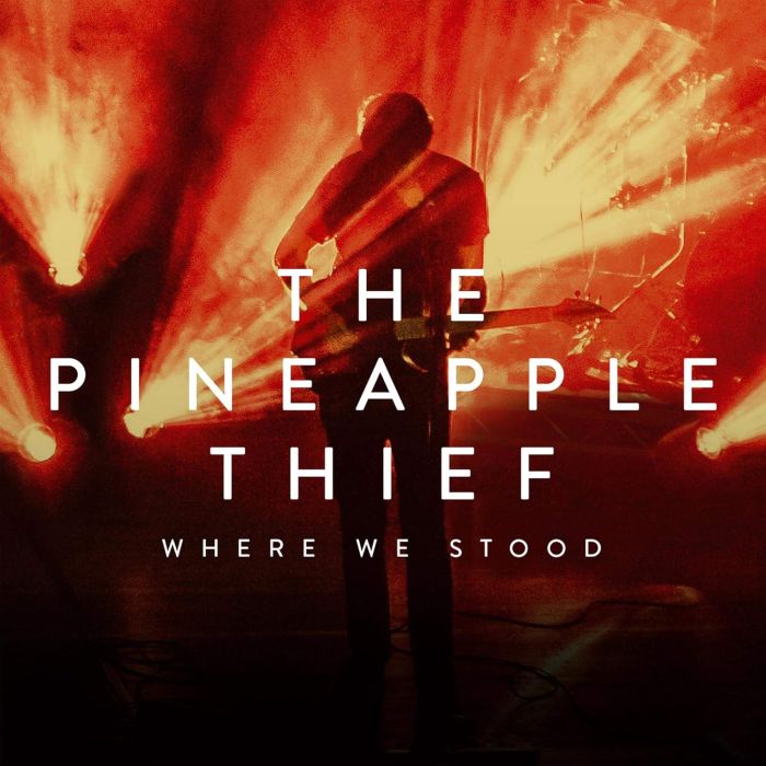 PINEAPPLE THIEF - WHERE WE STOOD