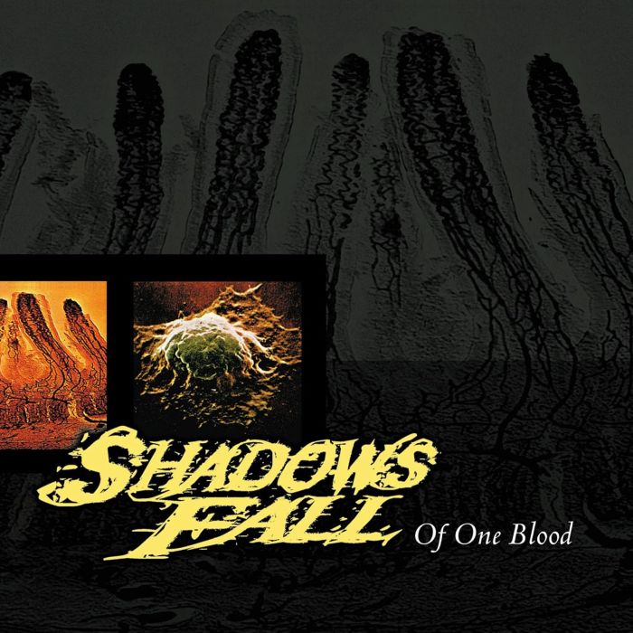 SHADOWS FALL - OF ONE BLOOD