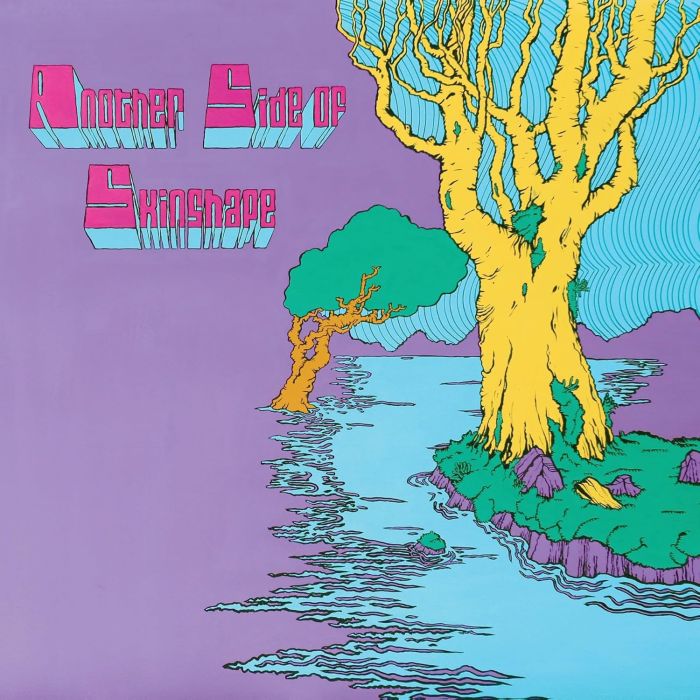 SKINSHAPE - ANOTHER SIDE OF SKINSHAPE