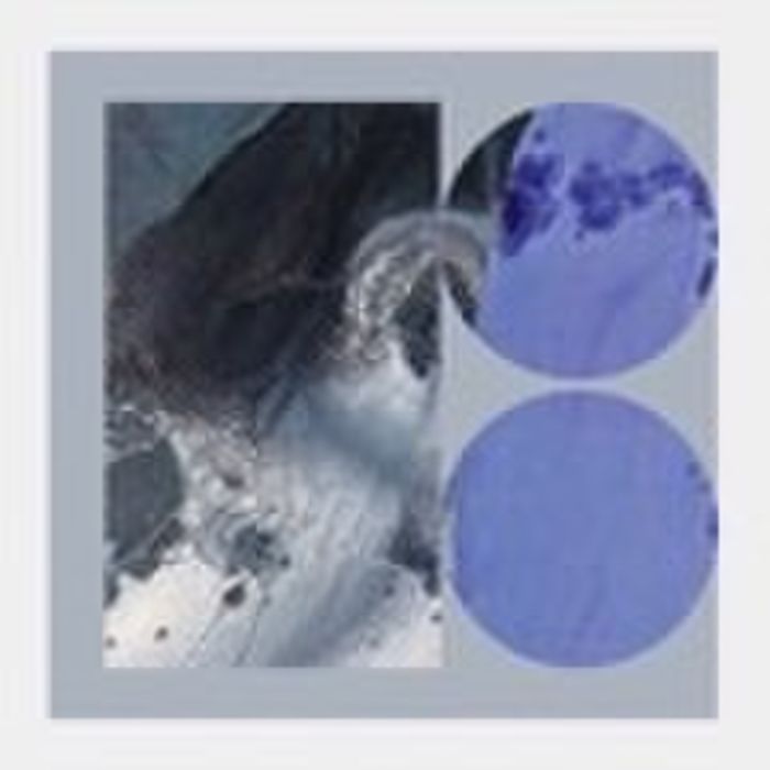 LUSINE - MELTING DAYS (BLUE MARBLE VINYL)